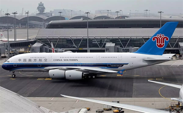 空运宠物活体